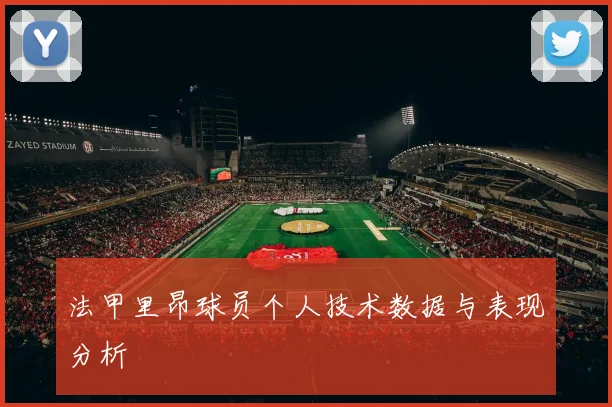 法甲里昂球员个人技术数据与表现分析