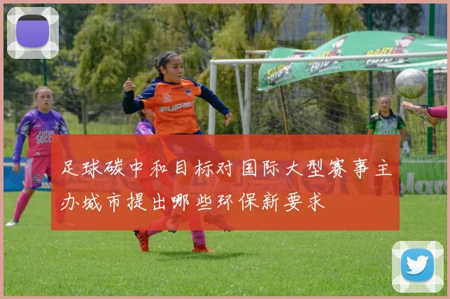 足球碳中和目标对国际大型赛事主办城市提出哪些环保新要求