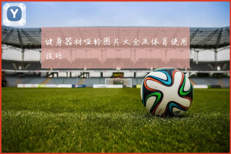 健身器材哑铃图片大全及体育使用技巧